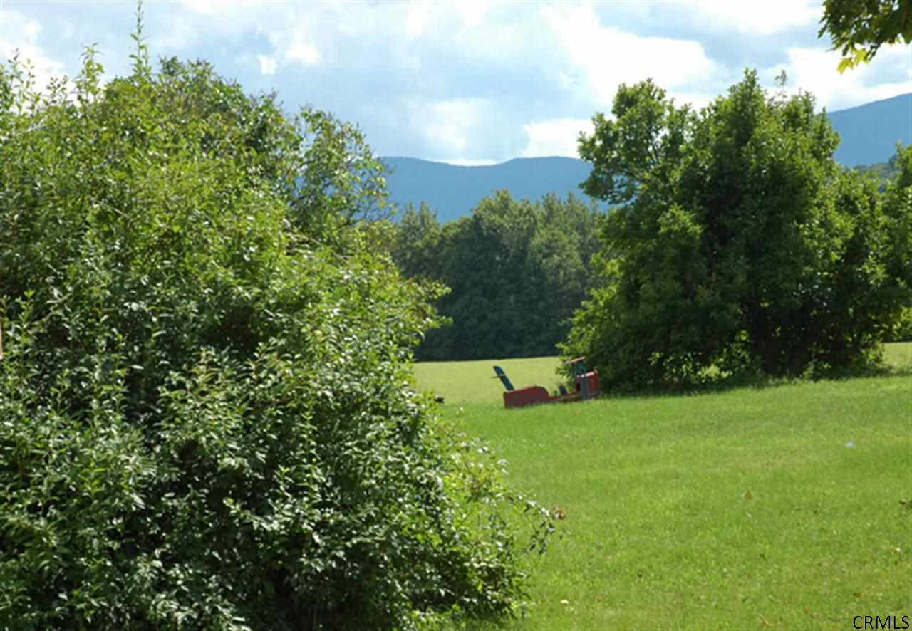 0 Stone Bridge Road Cornwallville, NY 12418 - Photo 5 of 5 Photo 5