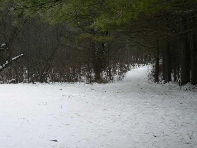 499 Dirigo Road China, ME 04358 - Photo 23 of 23 Land.