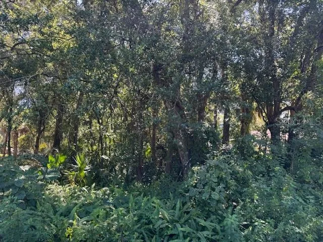 $59,900 | 0 East French Avenue, Orange City, FL 32763