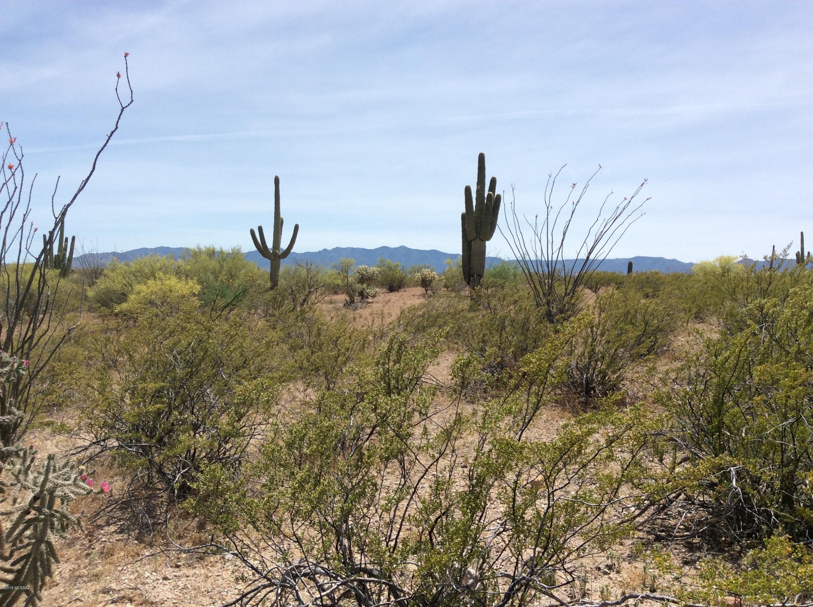 Peppersauce Mine Road San Manuel, AZ 85631 - Photo 17 of 33