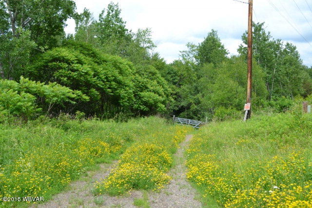Lot 6 Shaffers Notch Road New Albany, PA 18833 - Photo 2 of 17 Driveway entrance