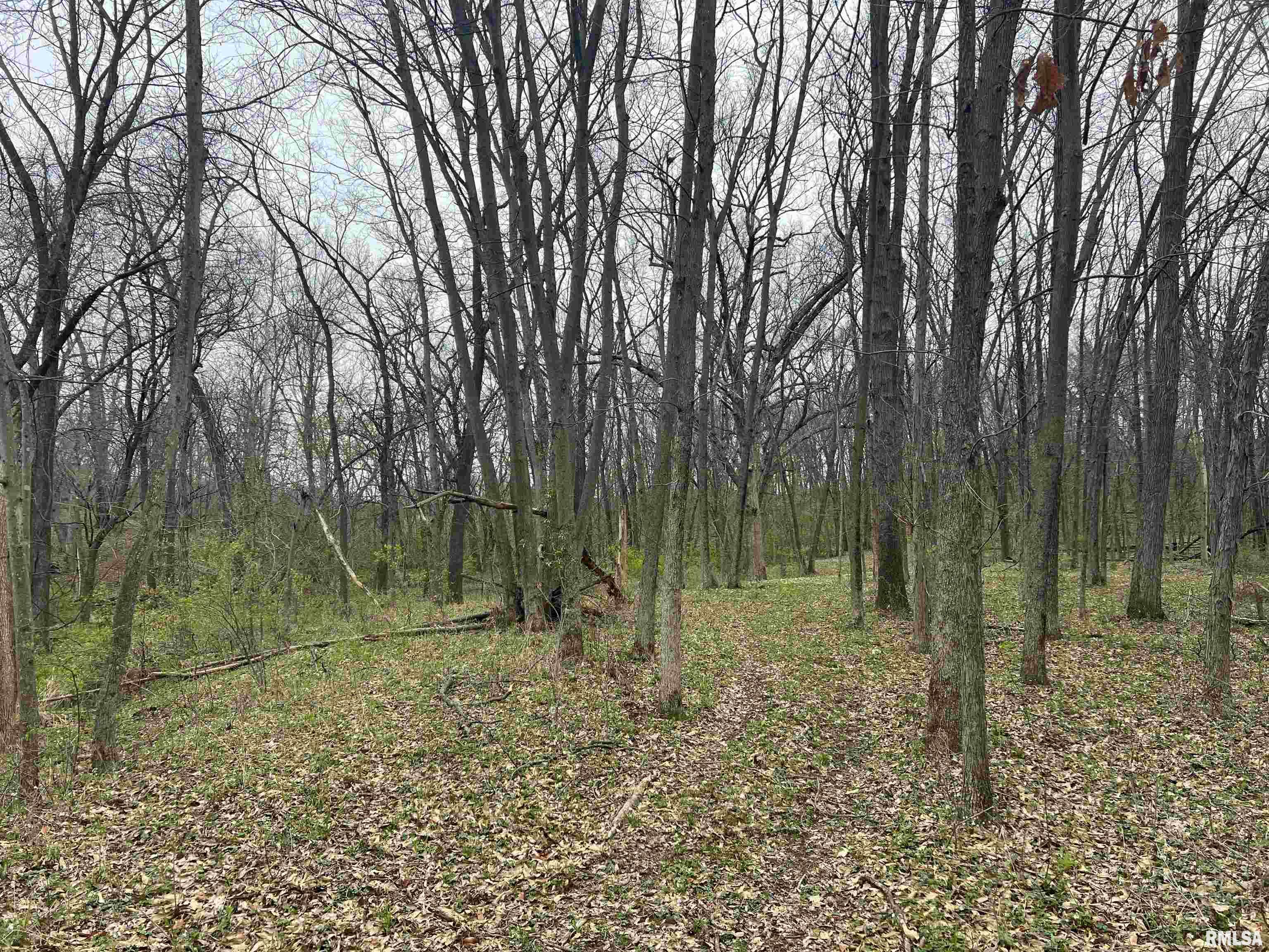 Rr Flower Creek Road Plymouth, IL 62367 - Photo 10 of 30