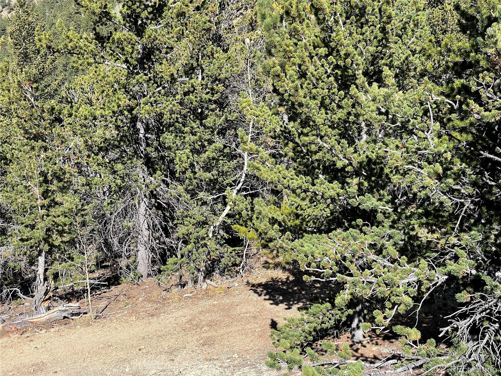 Dakota Ridge Road Idaho Springs, CO 80452 - Photo 16 of 21 Gallery Image 16