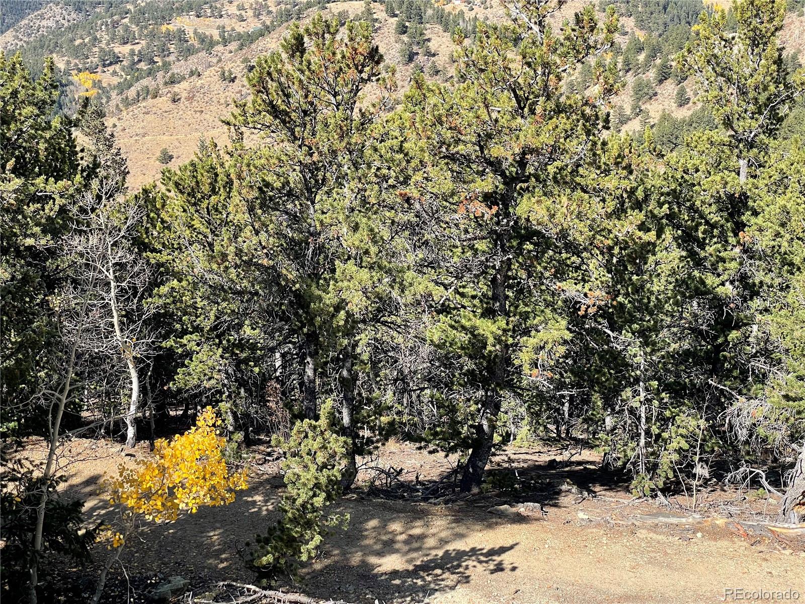 Dakota Ridge Road Idaho Springs, CO 80452 - Photo 20 of 21 Gallery Image 20