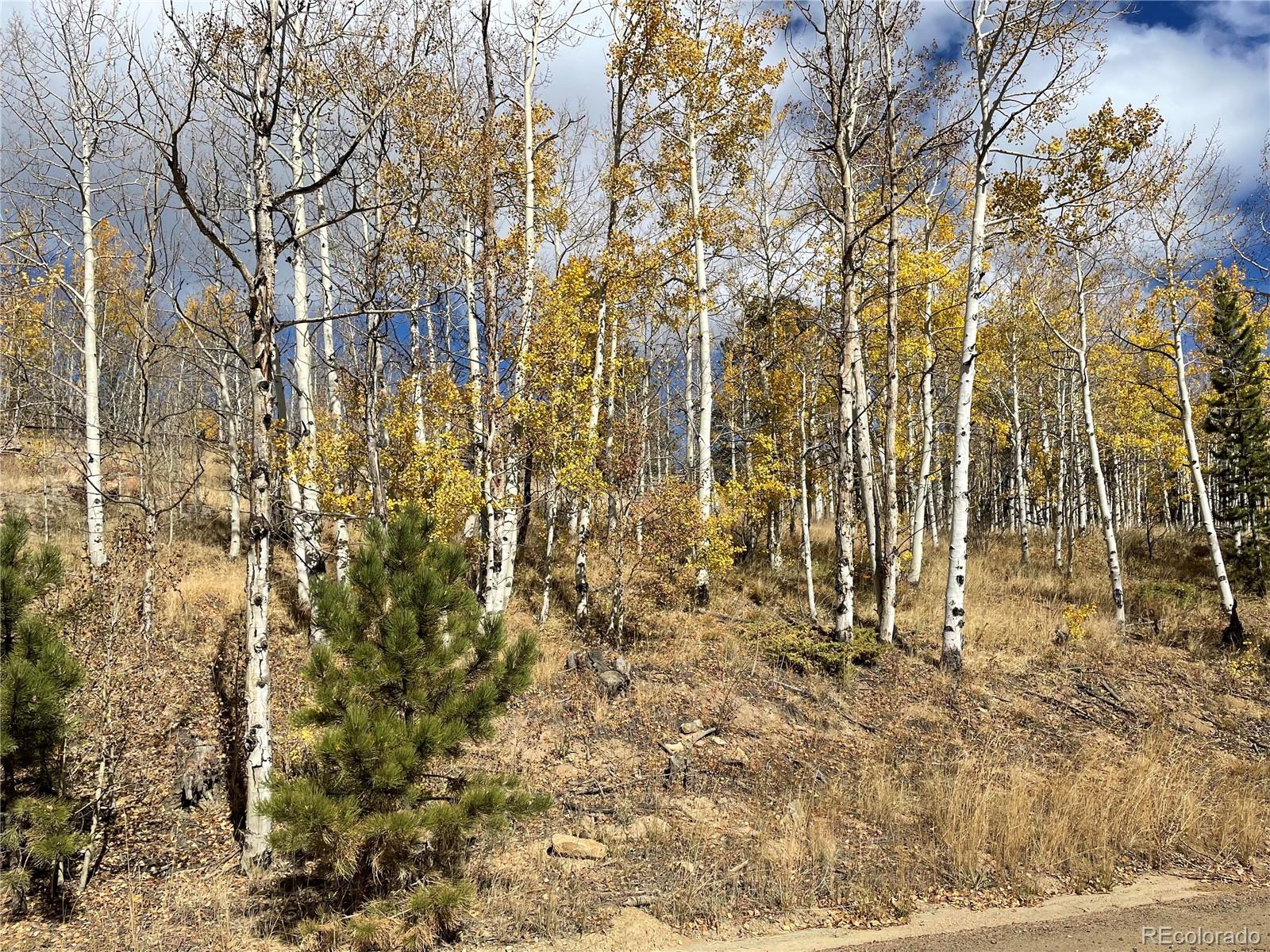 Dakota Ridge Road Idaho Springs, CO 80452 - Photo 8 of 21 Gallery Image 8