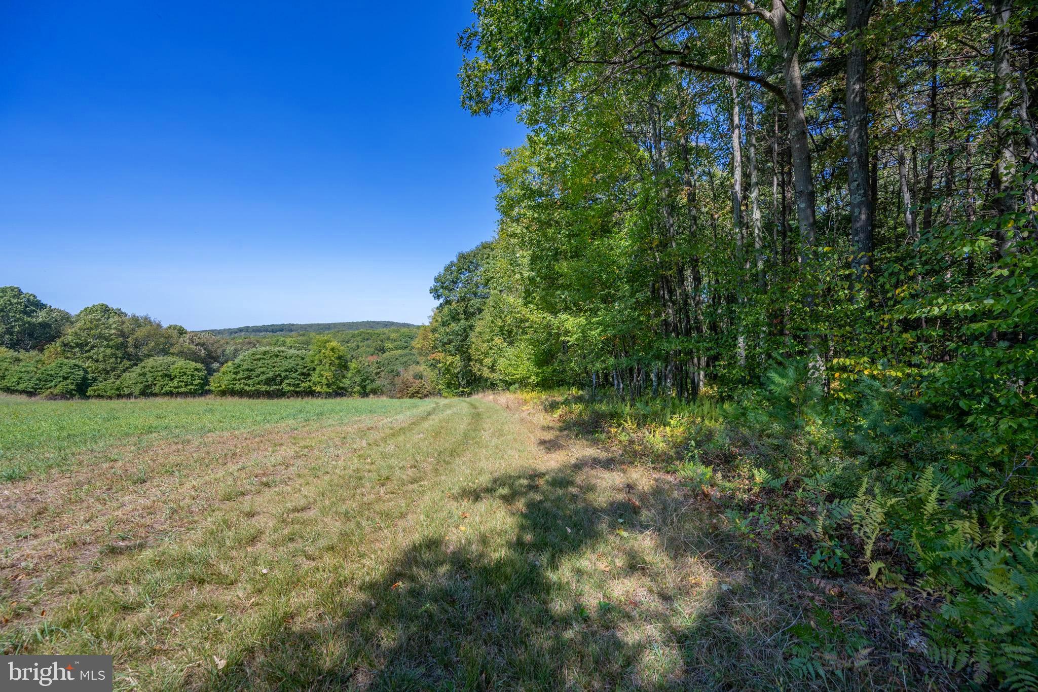 3348 Cove Road Accident, MD 21520 - Photo 15 of 30