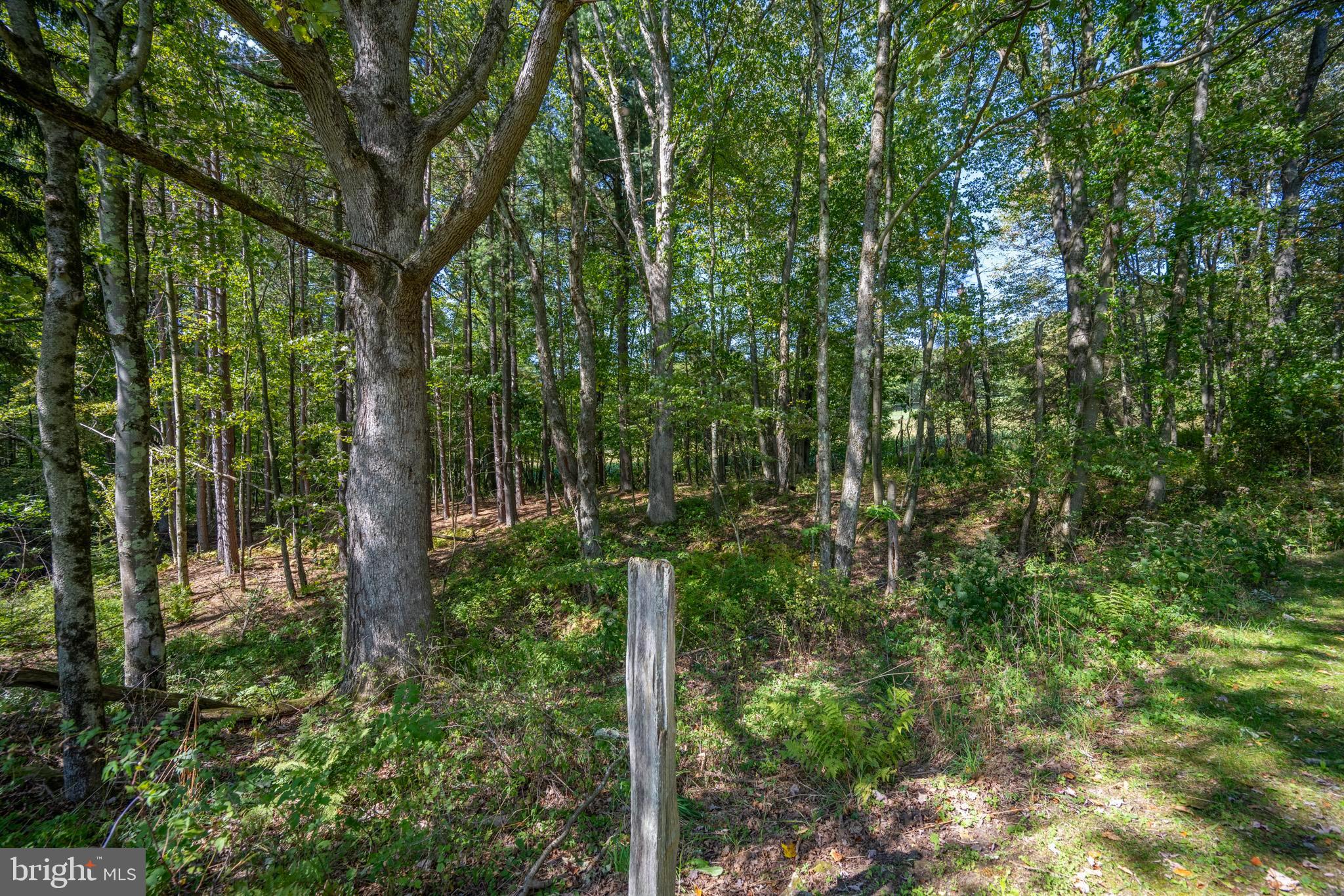 3348 Cove Road Accident, MD 21520 - Photo 20 of 30