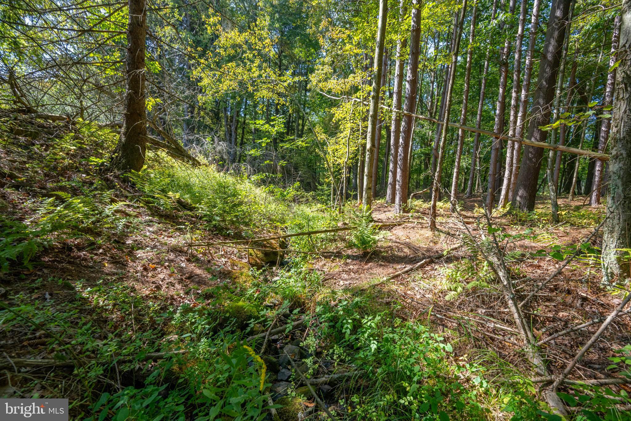 3348 Cove Road Accident, MD 21520 - Photo 22 of 30