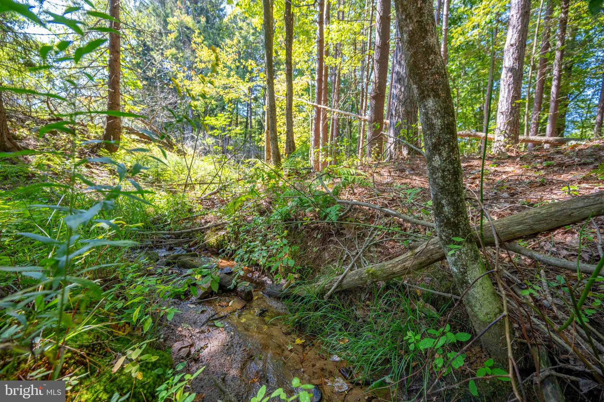 3348 Cove Road Accident, MD 21520 - Photo 5 of 30