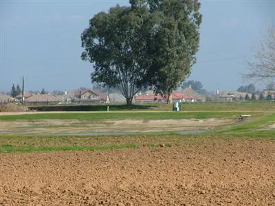 view of a yard