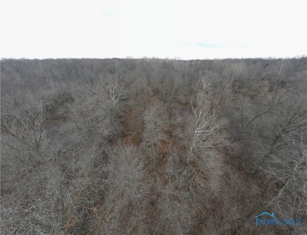 2231 Irwin Road Holland, OH 43528 - Photo 4 of 10 Gallery Image 4