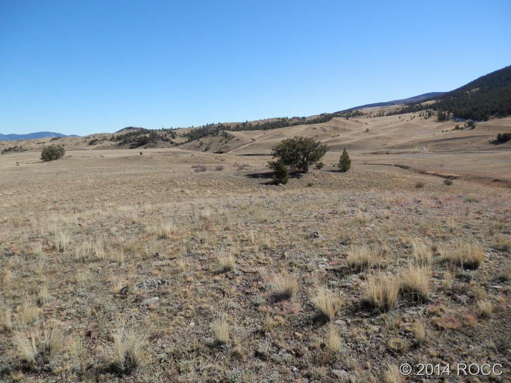 Unk Hill Road Hartsel, CO 80449 - Photo 1 of 1