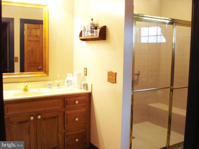 2830 Sommersby Road Mount Airy, MD 21771 - Photo 19 of 29 Master Bath With Oversize Shower