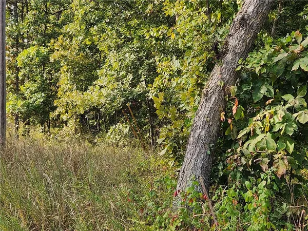 $40,000 | Hiawatha Drive, Stover, MO 65078