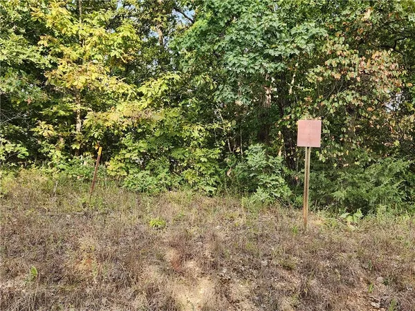 $40,000 | Hiawatha Drive, Stover, MO 65078