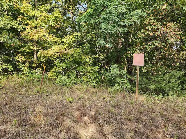 $40,000 | Hiawatha Drive, Stover, MO 65078