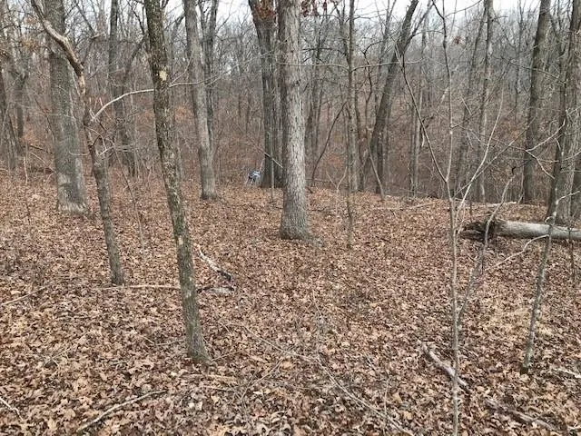 $40,000 | Hiawatha Drive, Stover, MO 65078