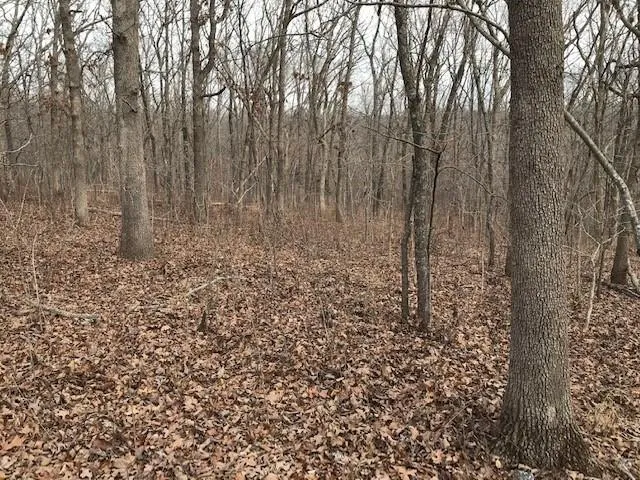 $40,000 | Hiawatha Drive, Stover, MO 65078