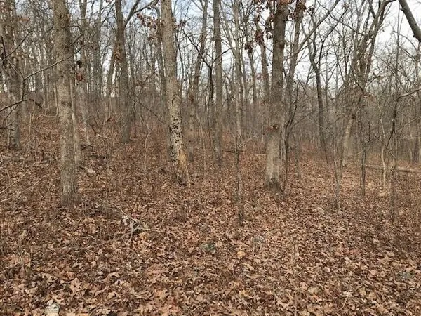 $40,000 | Hiawatha Drive, Stover, MO 65078