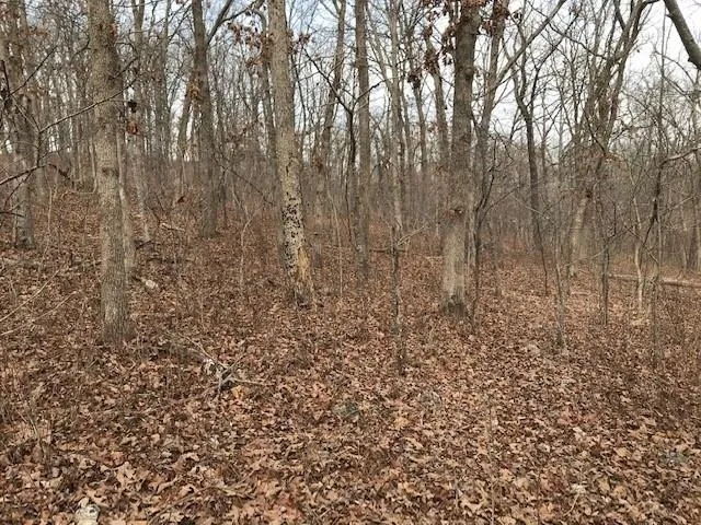 $40,000 | Hiawatha Drive, Stover, MO 65078