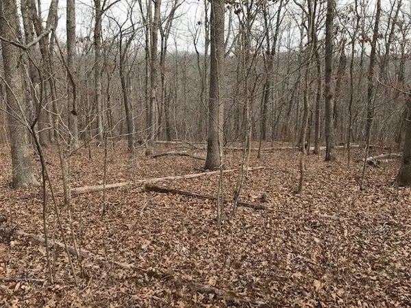 $40,000 | Hiawatha Drive, Stover, MO 65078