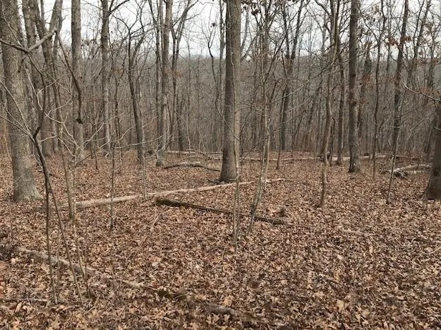 $40,000 | Hiawatha Drive, Stover, MO 65078