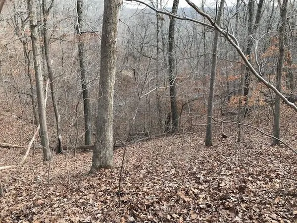 $40,000 | Hiawatha Drive, Stover, MO 65078