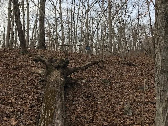 $40,000 | Hiawatha Drive, Stover, MO 65078