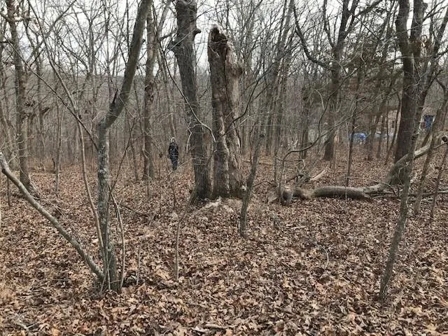 $40,000 | Hiawatha Drive, Stover, MO 65078