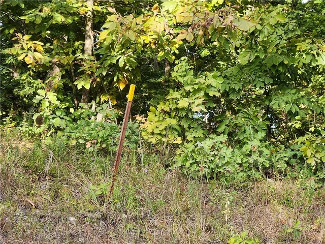 $40,000 | Hiawatha Drive, Stover, MO 65078