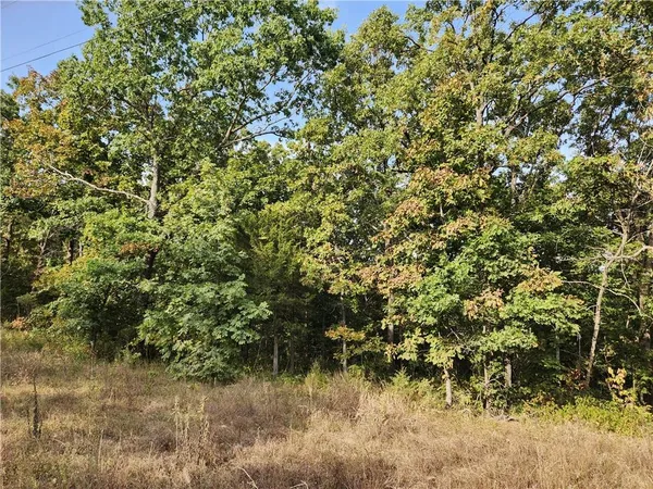 $40,000 | Hiawatha Drive, Stover, MO 65078