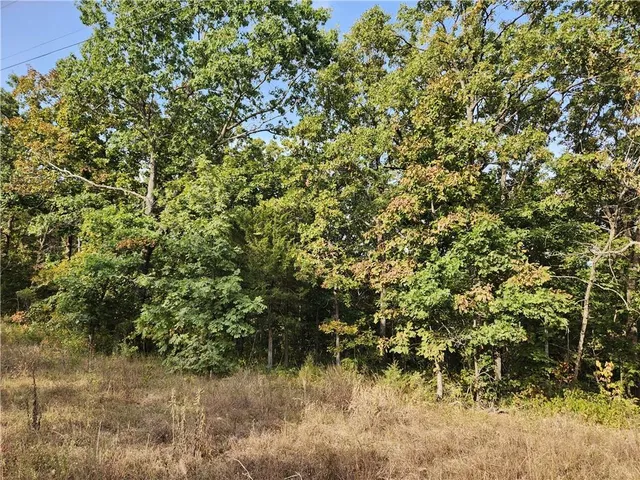 $40,000 | Hiawatha Drive, Stover, MO 65078