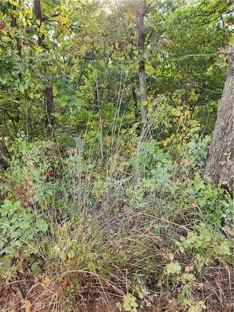 $40,000 | Hiawatha Drive, Stover, MO 65078