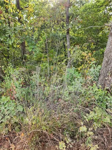 $40,000 | Hiawatha Drive, Stover, MO 65078