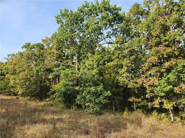 $40,000 | Hiawatha Drive, Stover, MO 65078