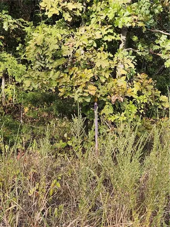 $40,000 | Hiawatha Drive, Stover, MO 65078