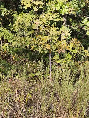 $40,000 | Hiawatha Drive, Stover, MO 65078