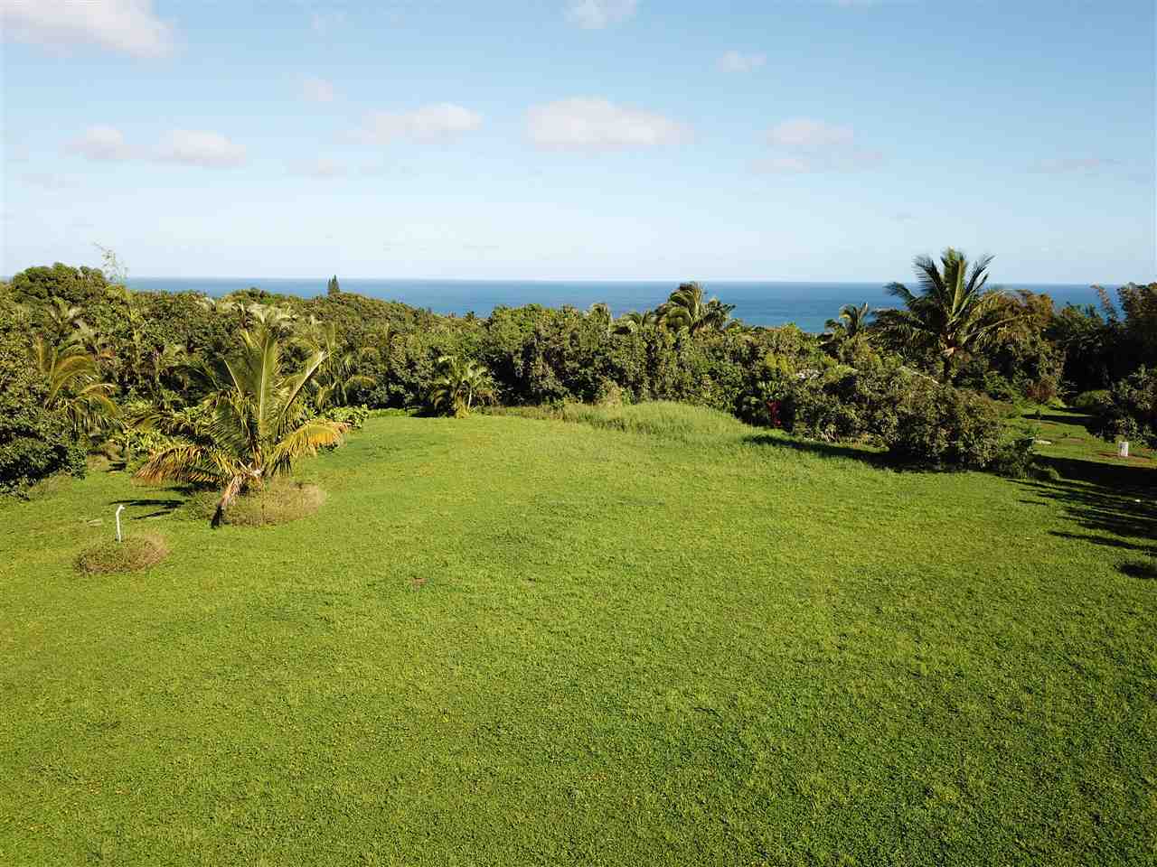 a view of an ocean from a yard