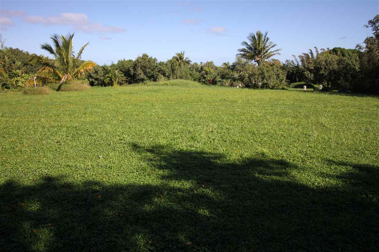 434 Hoolawa Road Haiku, HI 96708 - Photo 17 of 22 a view of a field with a trees