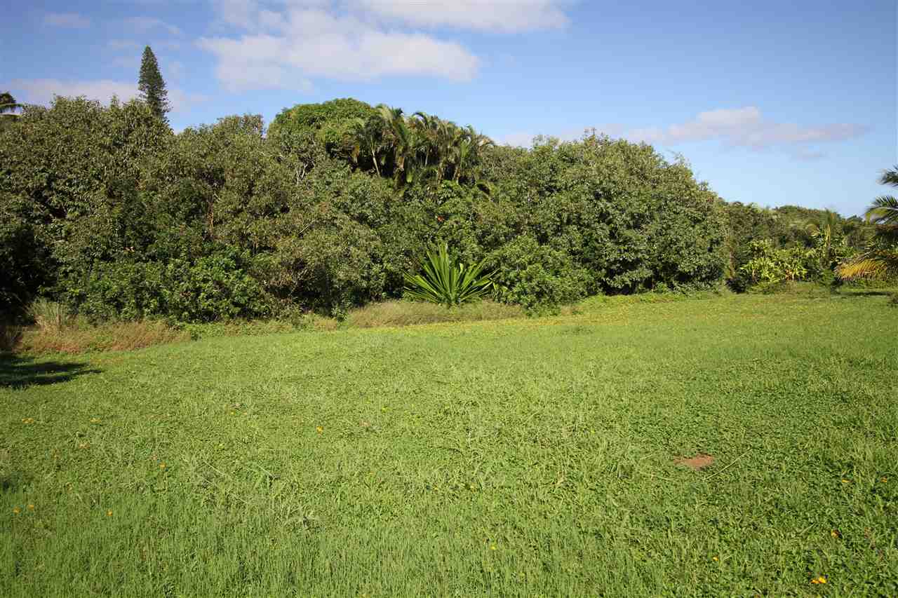 434 Hoolawa Road Haiku, HI 96708 - Photo 18 of 22 a view of field with tall trees