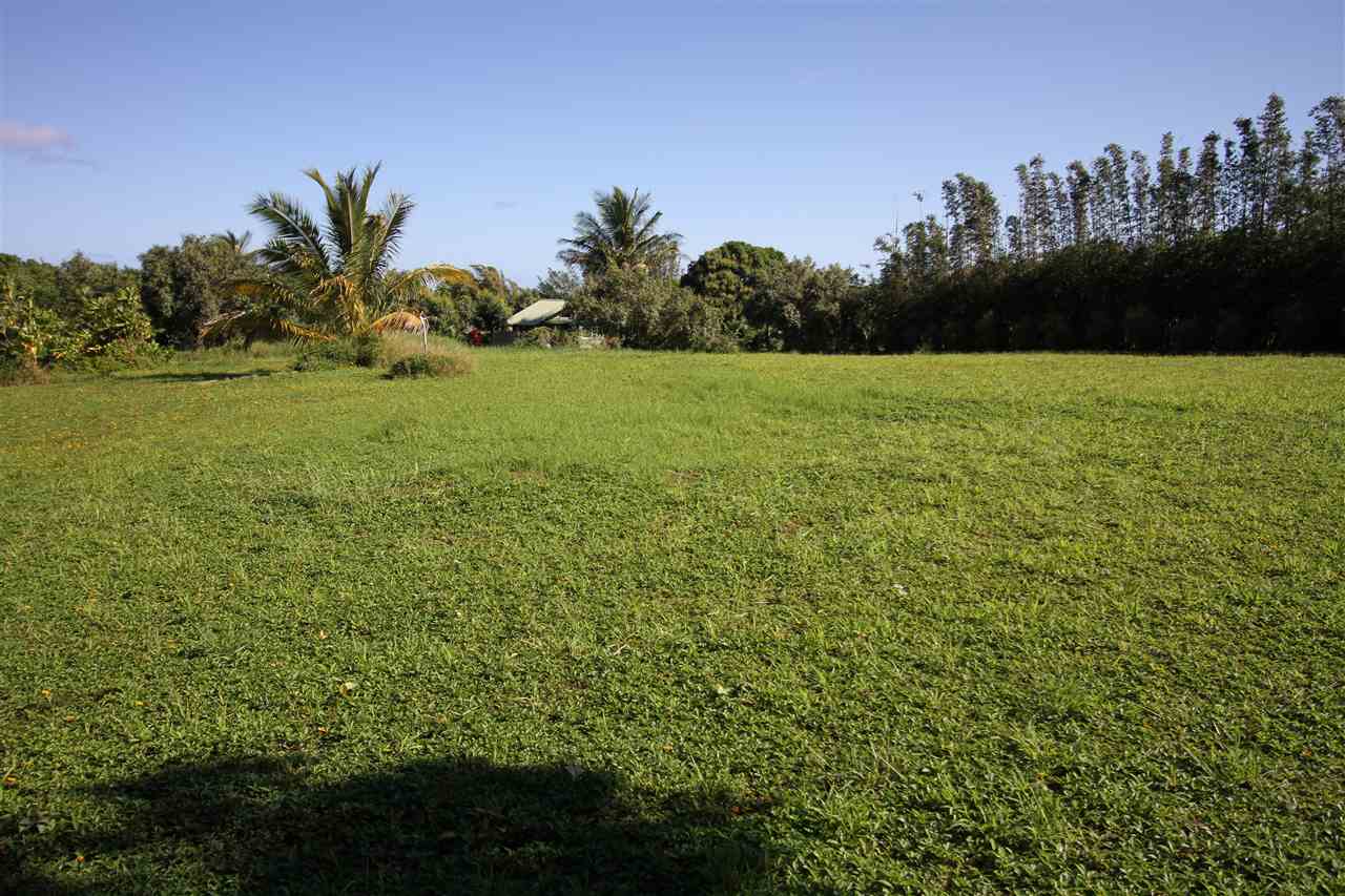 434 Hoolawa Road Haiku, HI 96708 - Photo 19 of 22 a view of a garden