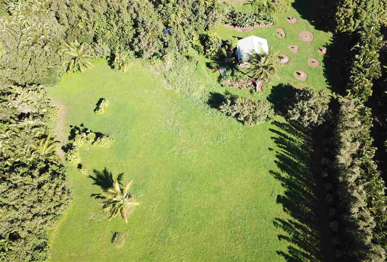 434 Hoolawa Road Haiku, HI 96708 - Photo 2 of 22 a view of a flower in a garden