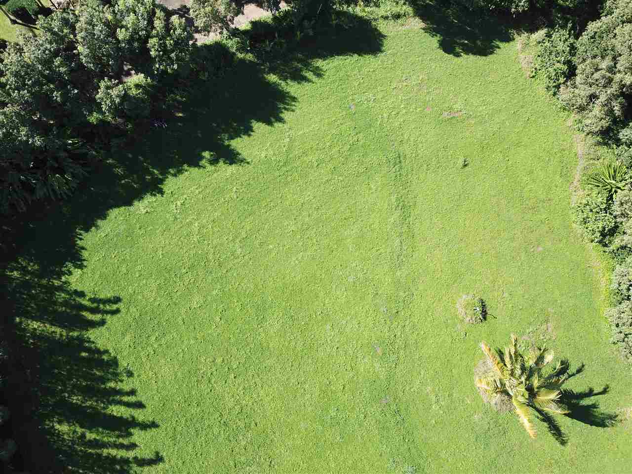 434 Hoolawa Road Haiku, HI 96708 - Photo 3 of 22 a view of a garden