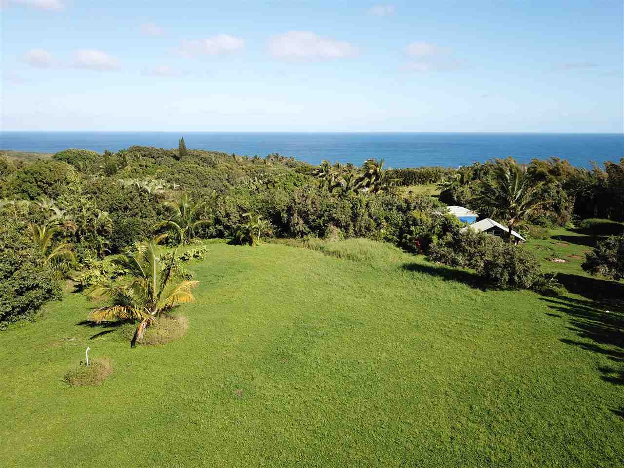 434 Hoolawa Road Haiku, HI 96708 - Photo 4 of 22 a view of a big yard with a large trees