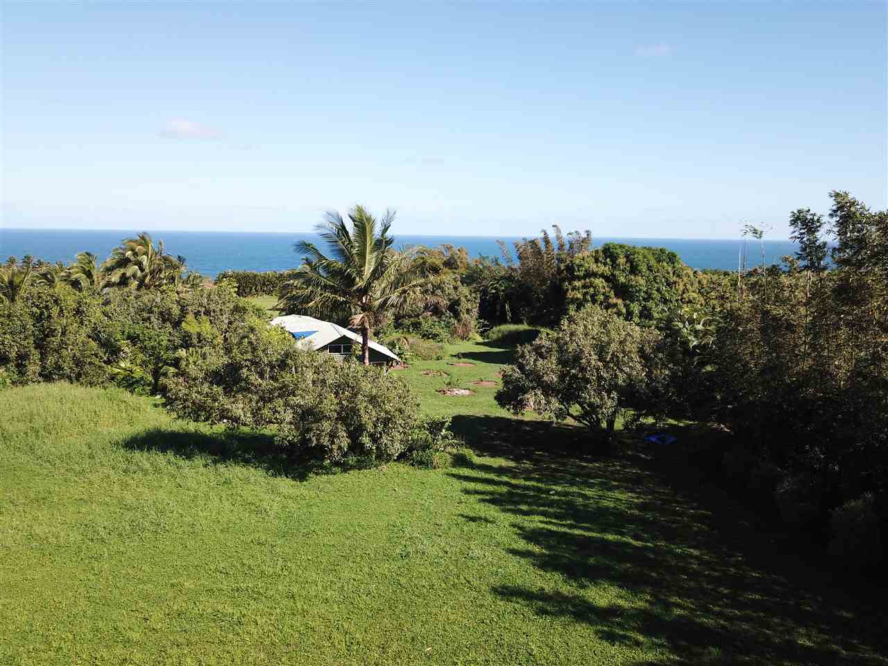 434 Hoolawa Road Haiku, HI 96708 - Photo 5 of 22 a view of a yard with wooden fence