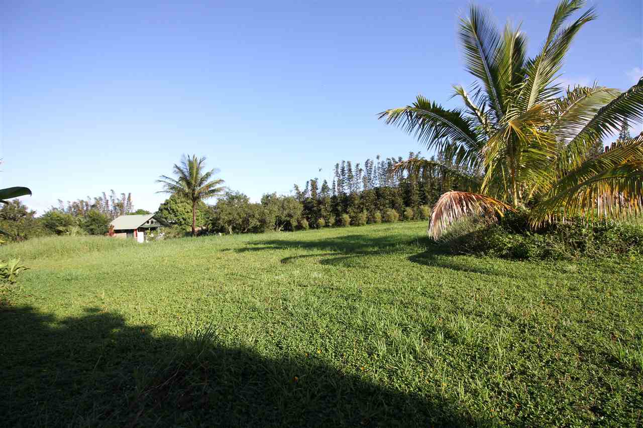 434 Hoolawa Road Haiku, HI 96708 - Photo 8 of 22 a view of a garden with a park