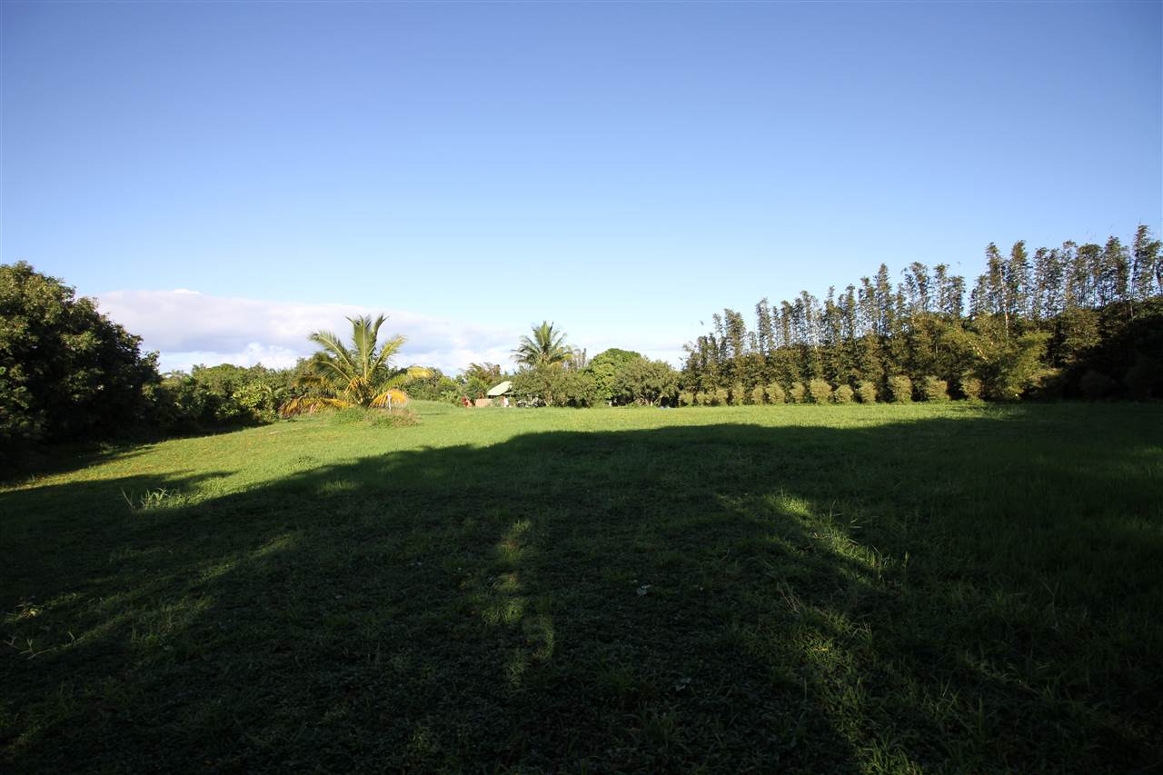 434 Hoolawa Road Haiku, HI 96708 - Photo 9 of 22 a view of a golf course with a lake