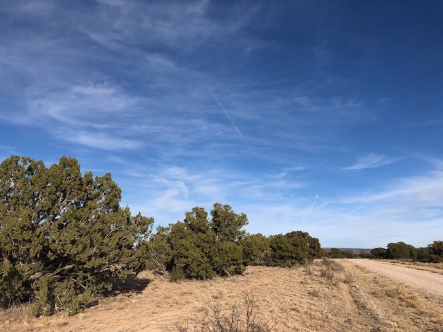 11 Anza Road Corona, NM 88318 - Photo 10 of 19