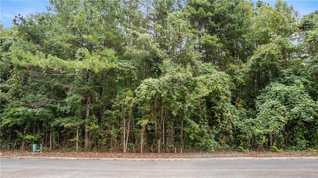 0 Westvalley Drive Northwest Rome, GA 30165 - Photo 5 of 10