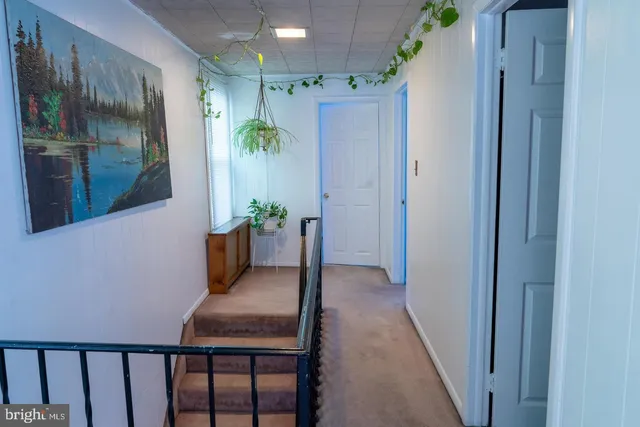 a room with furniture and potted plant